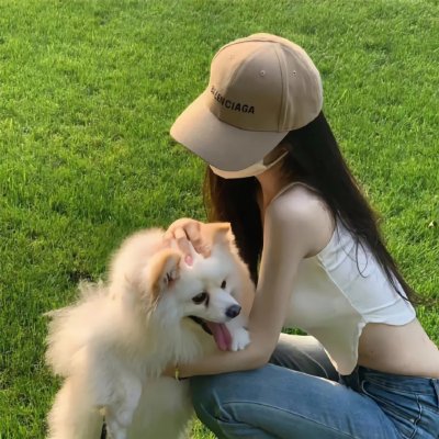 鬣狗之城